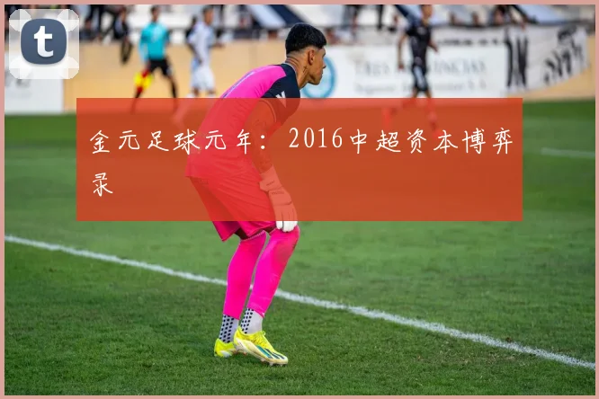 金元足球元年:2016中超资本博弈录