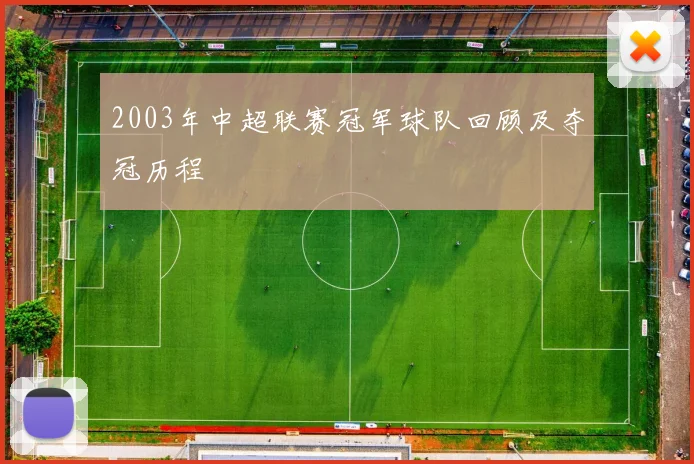 2003年中超联赛冠军球队回顾及夺冠历程